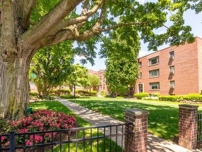 49 Harvard Ave APT 4