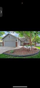 854 N Meadow Rd