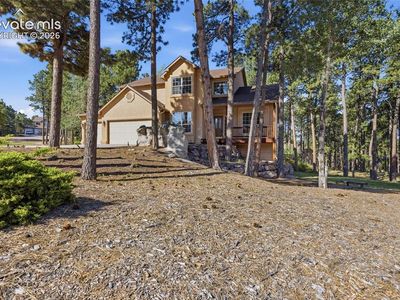 15954 Backwoods Ct