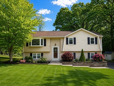 8 Concord Rd