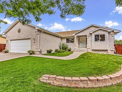 11 Hardwick Ct