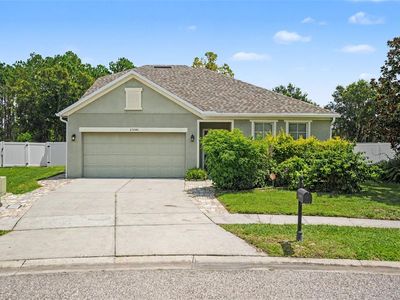 23046 WOOD VIOLET COURT