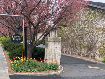 249 Hamilton Avenue #06