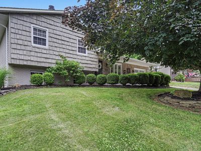 802 Larkspur Dr