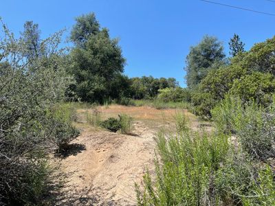 Property at 31 Hangtree Ct, Oakhurst, CA