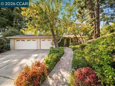 550 Catanio Ct