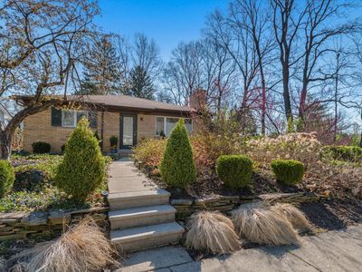 385 Hazelwood Ave