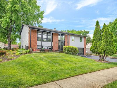 551 Falcon Ridge Way