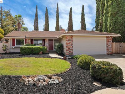 553 Bell Ave
