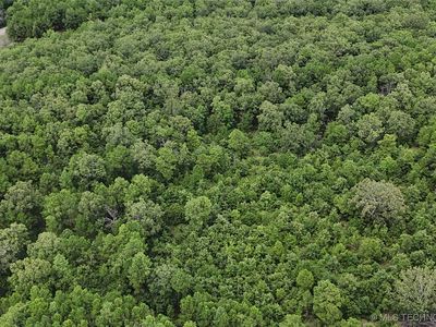 31096 S Tucker Knob Rd