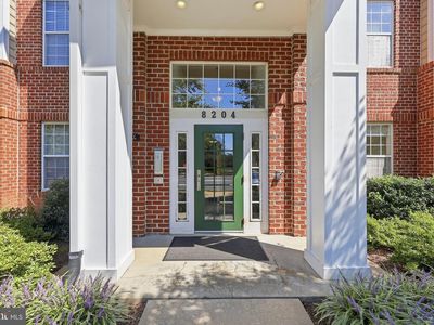 8204 Blue Heron Dr APT 1D