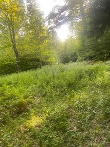 Property at 1138 South Road, Peru, VT