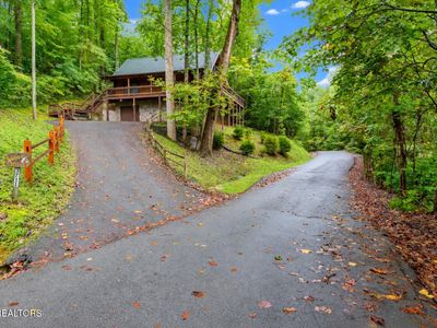 3711 Ginseng Way