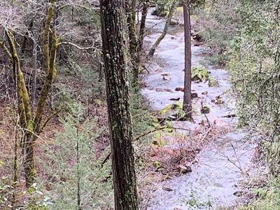 Property at 9161 Grizzly Flat Rd, Somerset, CA