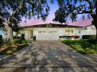 1175 San Carlos Ave NE