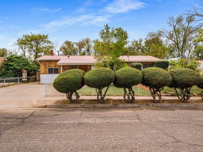 2704 Alamosa Dr