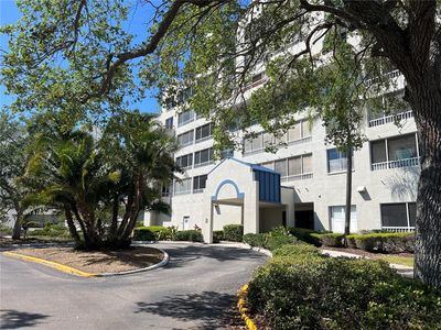 2333 Feather Sound Dr UNIT B104