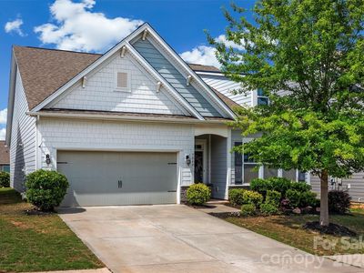 7040 Chrysanthemum Rd