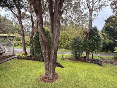 19-4113 Kalani Honua Lp