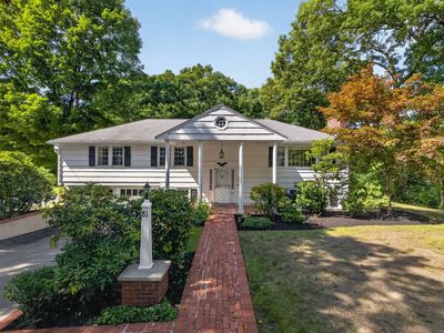 81 Alder Rd