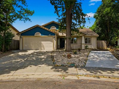 3318 Shenandoah Court
