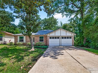 61 W Wavy Oak Cir