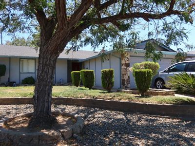 303 Dahlia Street