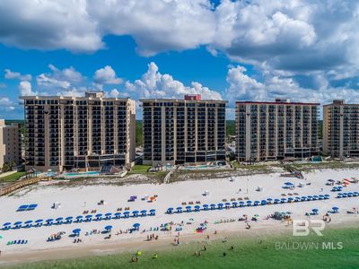 24160 Perdido Beach Blvd APT 2151