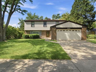 802 E Hackberry Dr