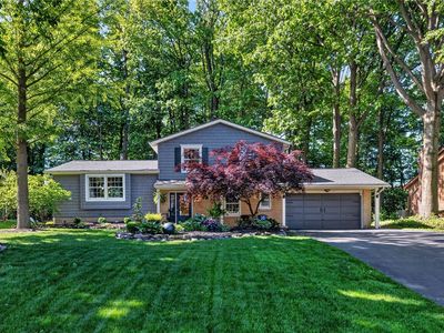 412 Judy Ann Dr