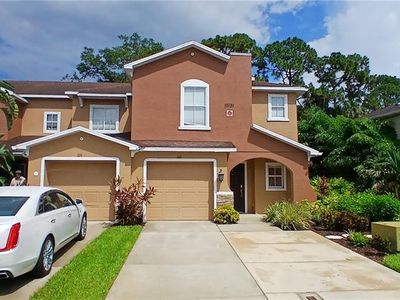 15131 Piping Plover CT #105