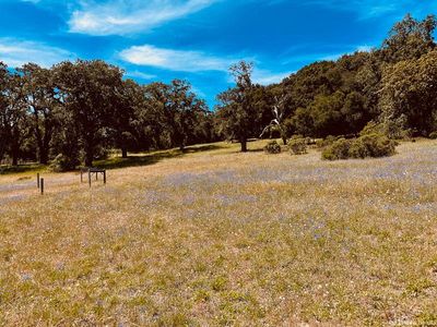 Property at 34221 Robinson Canyon Rd, Carmel, CA
