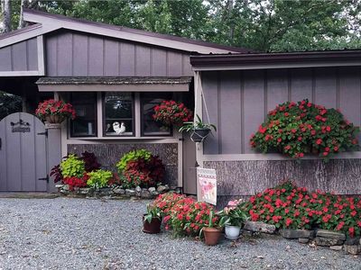 203 Black Pine Road