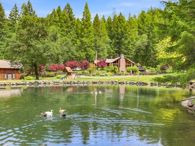 985 Elliott Creek Rd