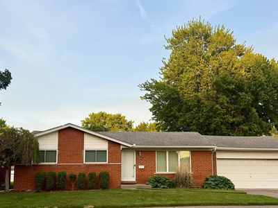 31010 Roan Dr