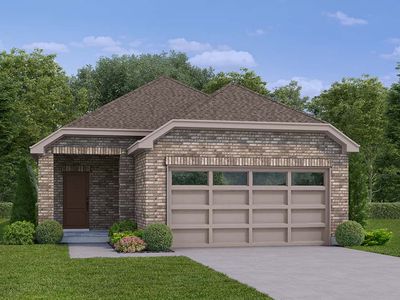Paisley Plan, Audubon