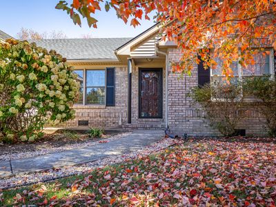 335 Colony Dr