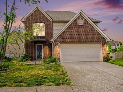 305 Primrose Cir