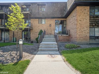 4 Oak Creek Dr APT 1504