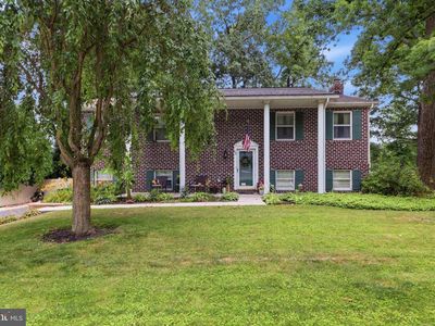 62 Laurel Dr