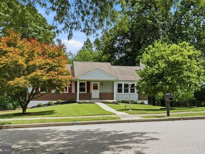 4 Locust Way