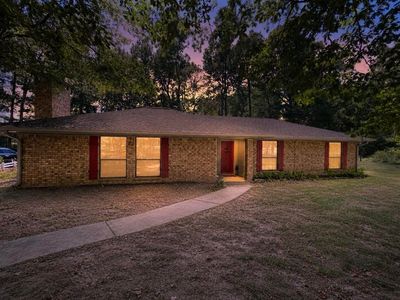 247 County Road 169