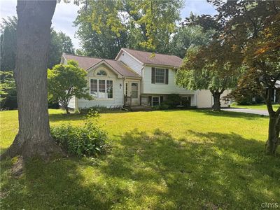 6 Fruitwood Dr
