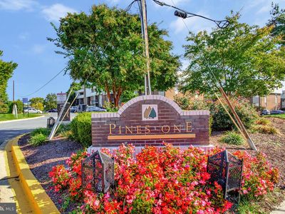 10216 Prince Pl #9204