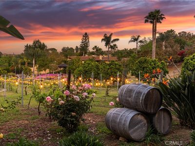 6731 Via De La Reina