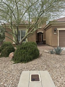 1385 Saddle Horn Ct