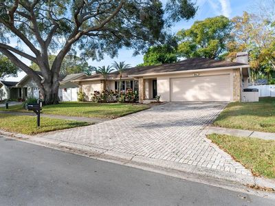 Property at 3105 Glenwood Ct, Safety Harbor, FL
