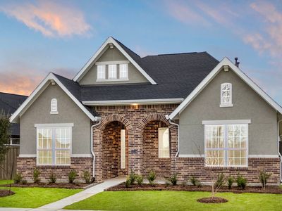 Mickelson -50' Lot Plan, Riceland