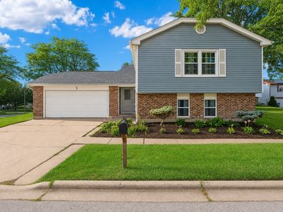 3 Whitehall Ct