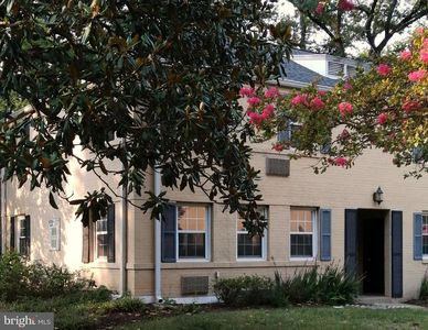111 N George Mason Dr #1